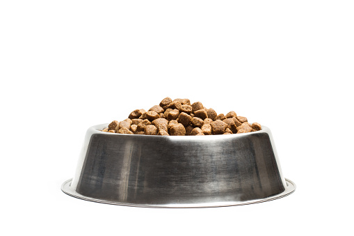 Croquettes. L'alimentation du chien