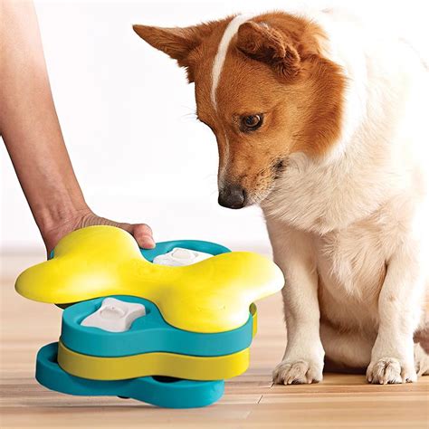 jouet pour chien contre l'ennui