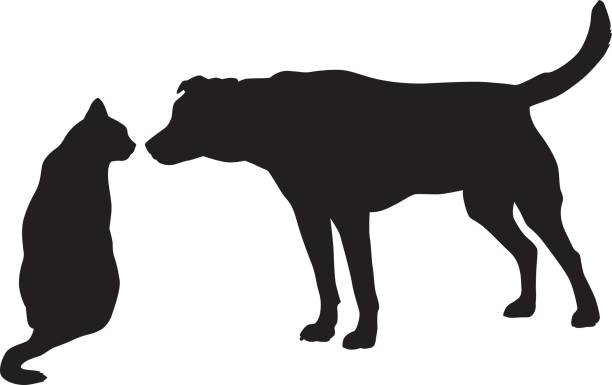 Le comportement du chien