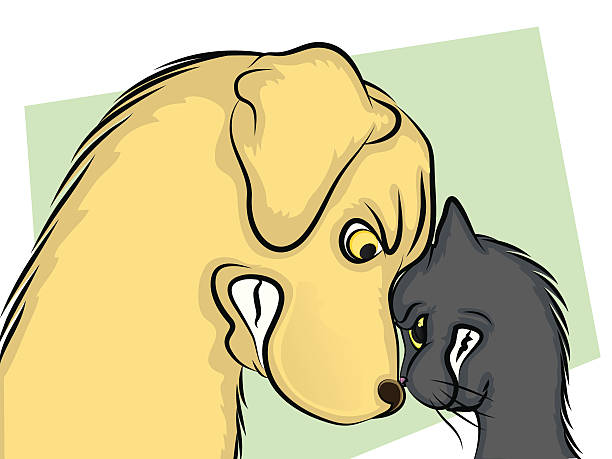 Amitié ou haine entre chat et chien ?