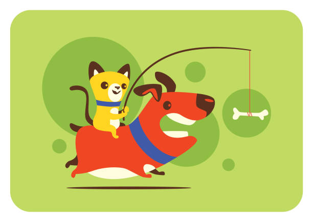 Jeu de poursuite du chien
